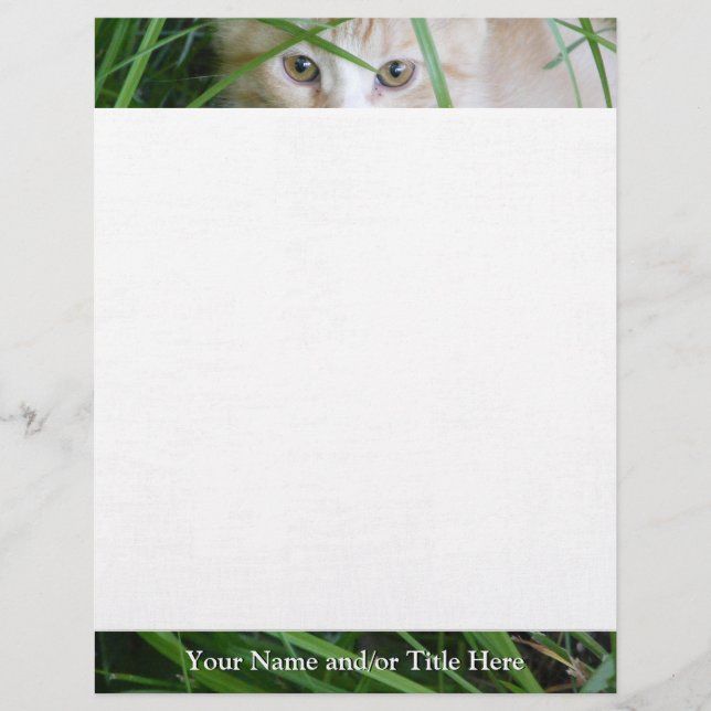 Kitten Gaze Letterhead (Front)