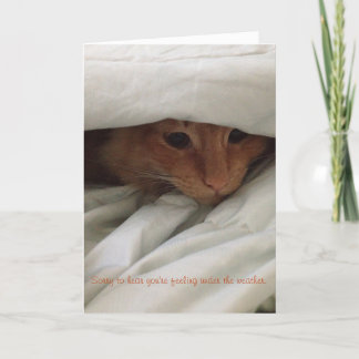 kitten get well card