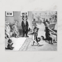 Kitten Giving a Recital