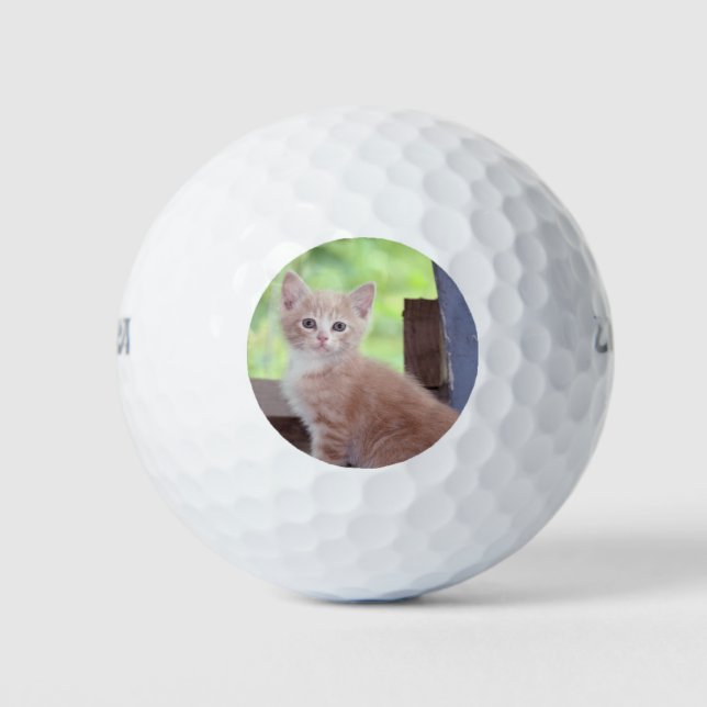 Kitten Golf Balls (Front)