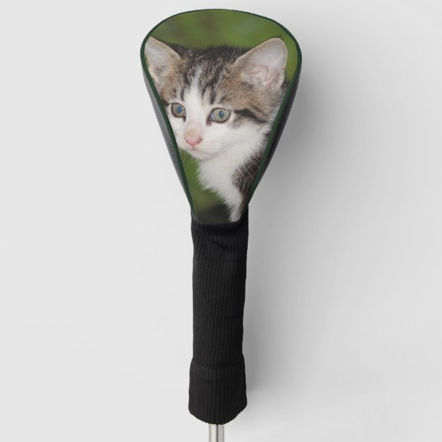 Kitten Golf Head Cover (Front)