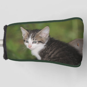 Kitten Golf Head Cover