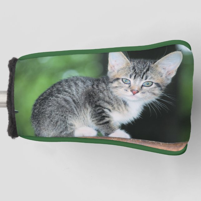 Kitten Golf Head Cover (Front)