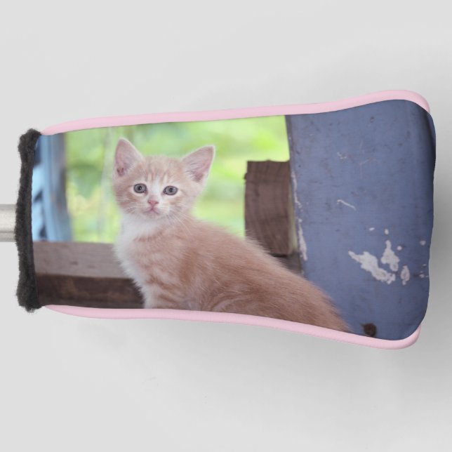 Kitten  golf head cover (Front)