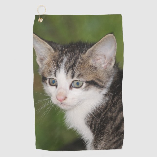 Kitten Golf Towel (Front)