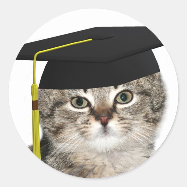 Kitten graduates classic round sticker (Front)