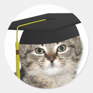 Kitten graduates classic round sticker