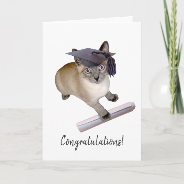 Kitten Graduation Card (Front)