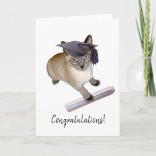 Kitten Graduation Card