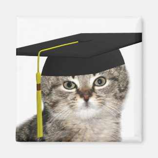 Kitten graduation magnet