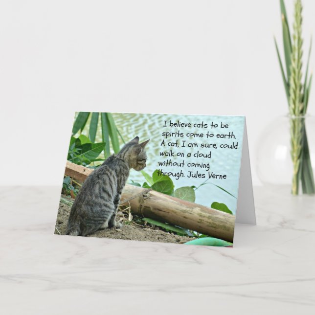 Kitten Greetings Card with Quote (Front)