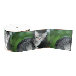 Kitten Grosgrain Ribbon