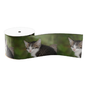 Kitten Grosgrain Ribbon