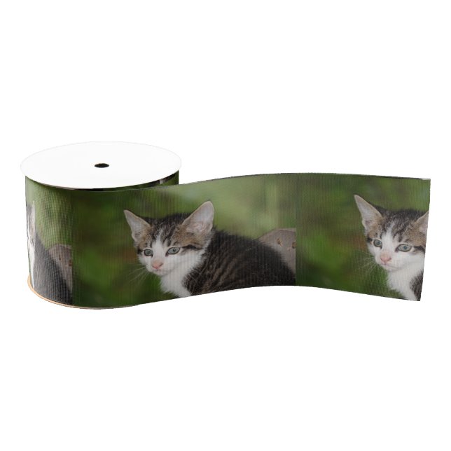 Kitten Grosgrain Ribbon (Spool)