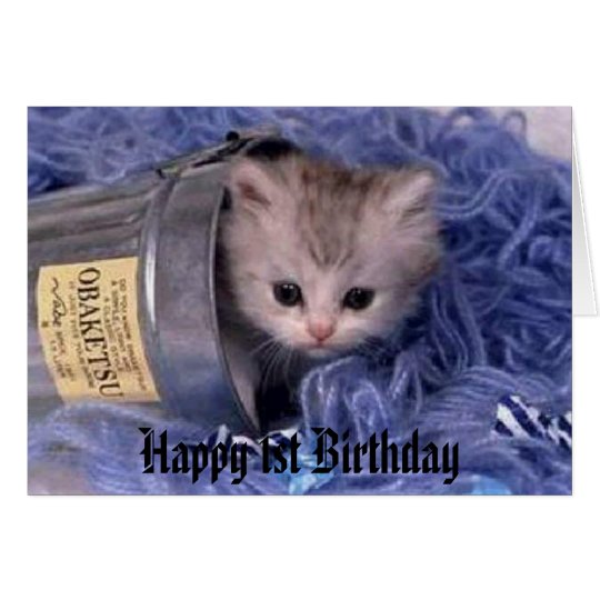 kitten Happy 1st Birthday Card