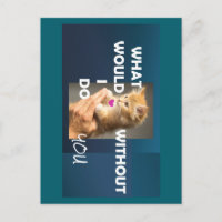 Kitten held by a hand text what would I do without