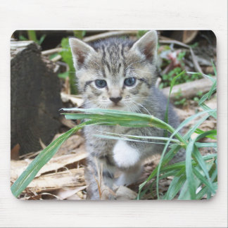 Kitten Hiding Behind Blade of Grass Mouse Mat