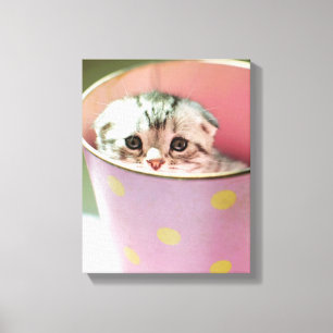 Kitten Hiding Canvas Print