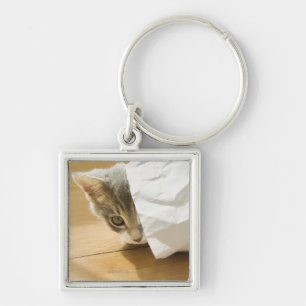 Kitten hiding in paper bag key ring