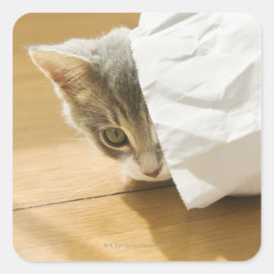 Kitten hiding in paper bag square sticker