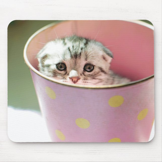 Kitten Hiding Mouse Mat (Front)