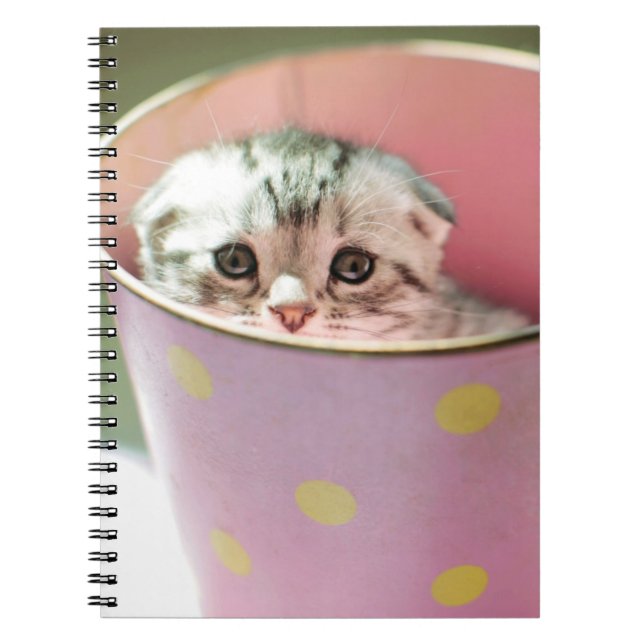 Kitten Hiding Notebook (Front)
