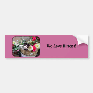 Kitten in a Basket Bumper Sticker