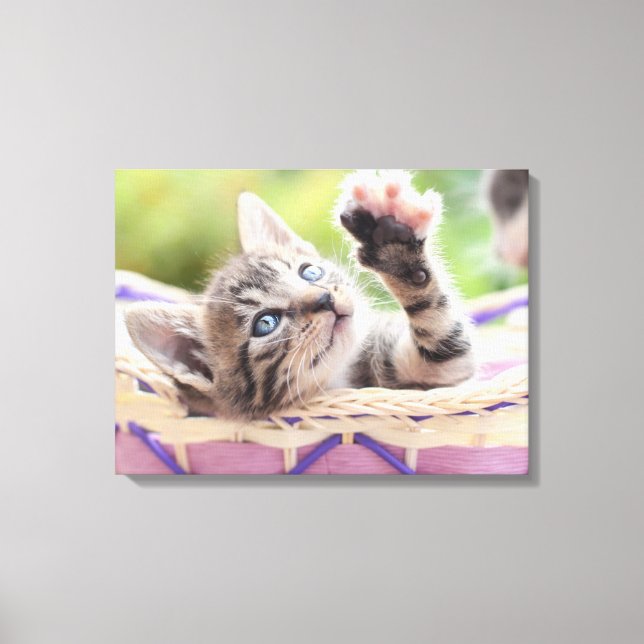 Kitten In A Basket Canvas Print (Front)