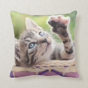 Kitten In A Basket Cushion