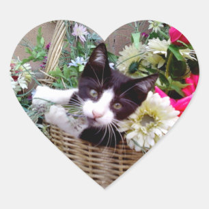 Kitten in a Basket Heart Sticker
