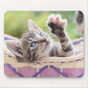 Kitten In A Basket Mouse Mat