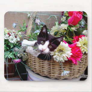 Kitten in a Basket Mouse Mat