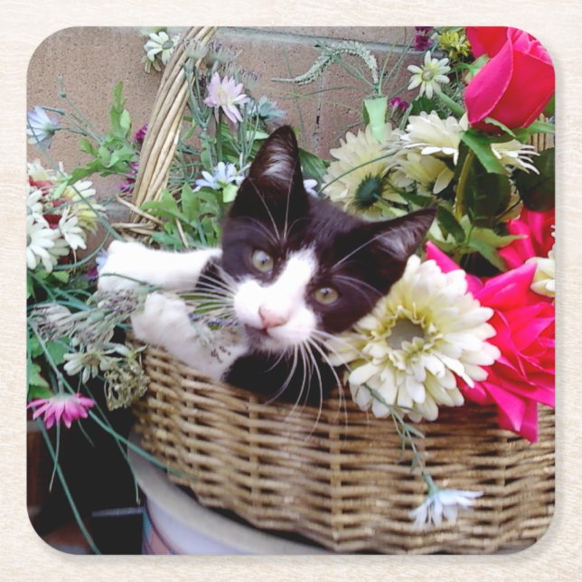 Kitten in a Basket Square Paper Coaster (Front)