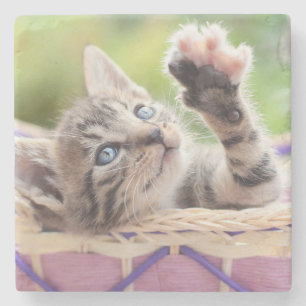 Kitten In A Basket Stone Coaster