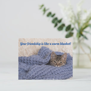 Kitten in a blanket postcard