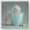 Kitten in a Bucket