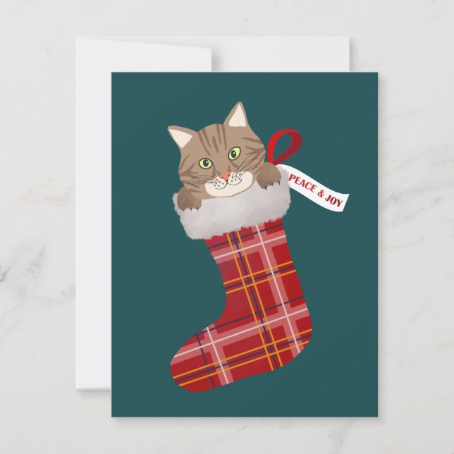 Kitten in a Christmas Stocking Holiday Card (Front)