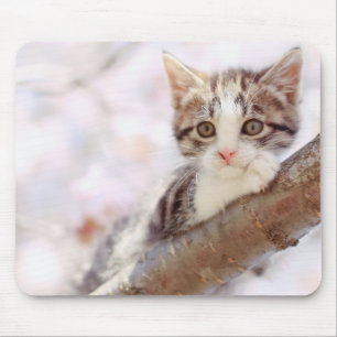 Kitten In A Tree Mouse Mat