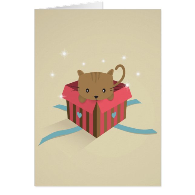 Kitten in an opened gift box (Front)
