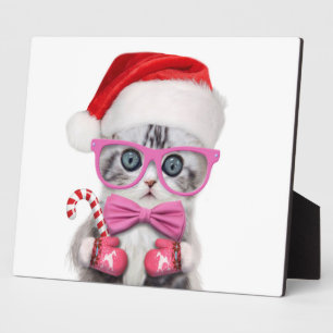 Kitten in Christmas hat Plaque