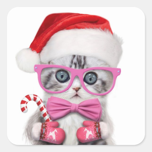 Kitten in Christmas hat Square Sticker (Front)