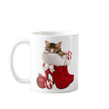 Kitten in christmas shoes