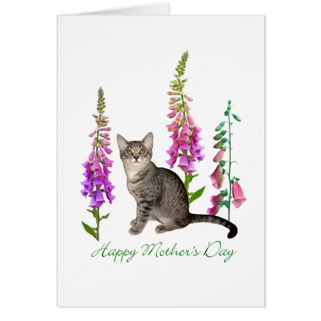 Kitten in Foxgloves Mother's Day Card (Front)