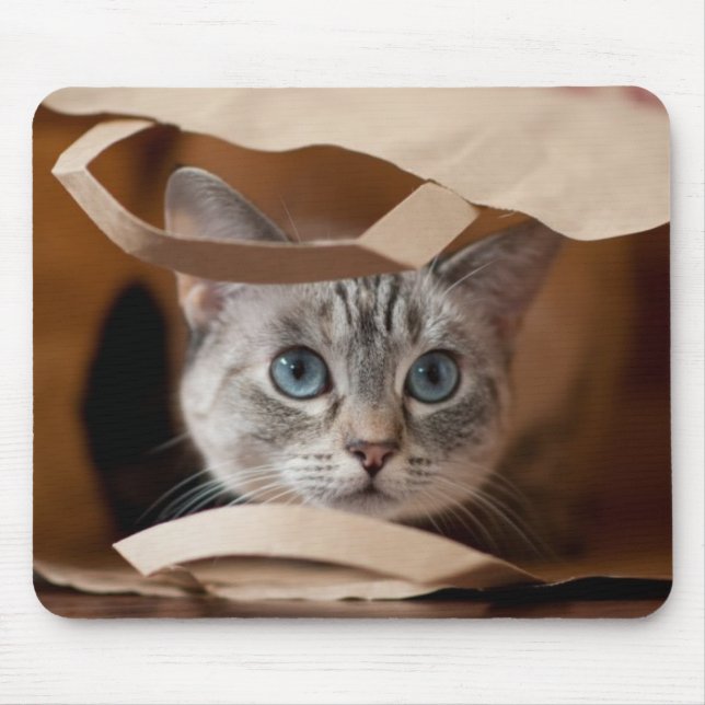 Kitten in Grocery Bag Mouse Mat (Front)