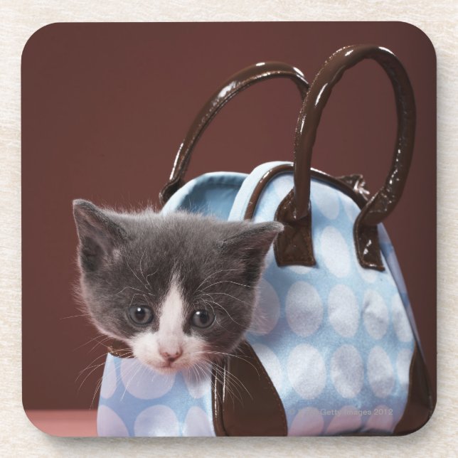 Kitten in handbag coaster (Front)