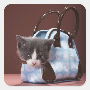 Kitten in handbag square sticker