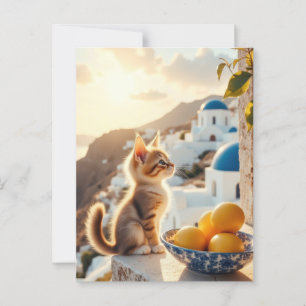 kitten in Italy Postcard