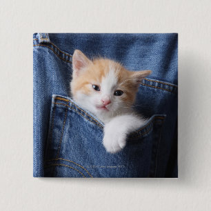 kitten in jeans bag 15 cm square badge