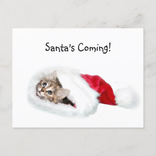 Kitten in Santa Hat Holiday Postcard