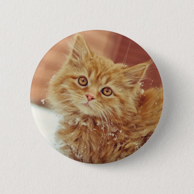 Kitten in Snow 6 Cm Round Badge (Front)
